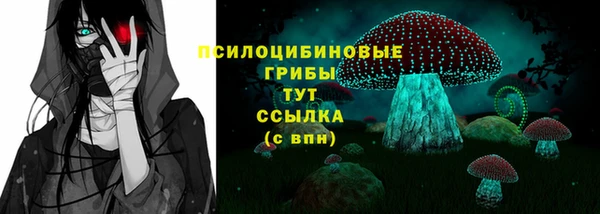 сатива Карталы