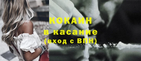 сатива Карталы