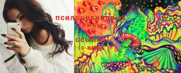 твердый Касимов