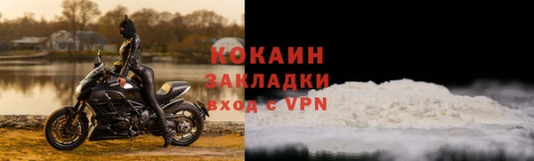 сатива Карталы