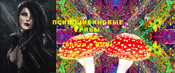 первитин Карпинск