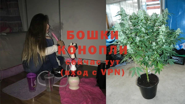 первитин Карпинск