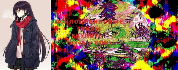 первитин Карпинск