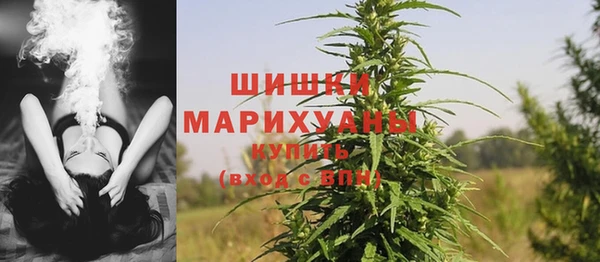 твердый Касимов