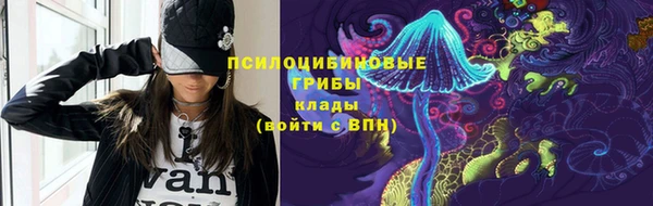 сатива Карталы