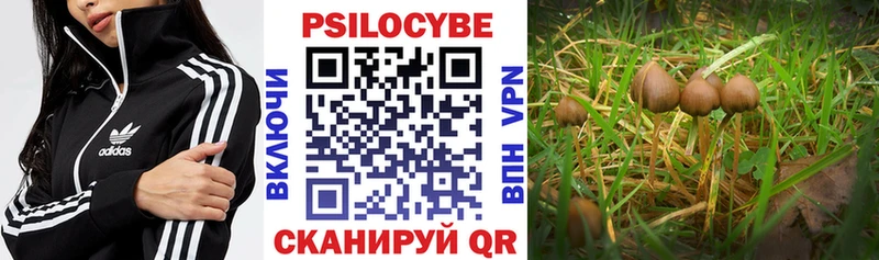 Псилоцибиновые грибы прущие грибы Пересвет